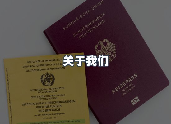 专业团队